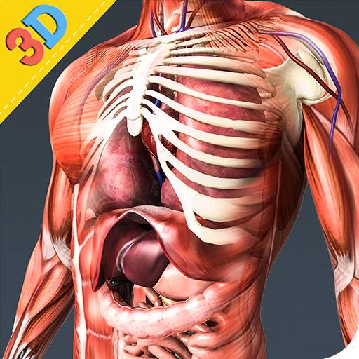 Human Anatomy And Physiology 1.0.1