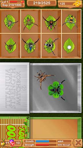 Fighting Spiders screenshot 1