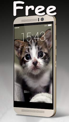 Cute Kitten Lock Screen 4 تصوير الشاشة