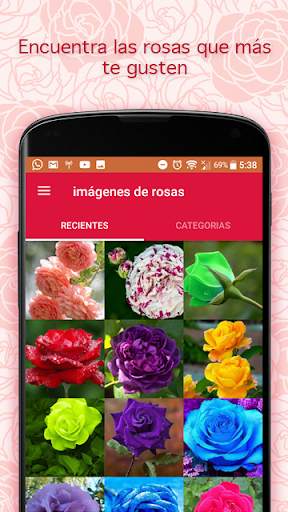 Pictures of Roses screenshot 1