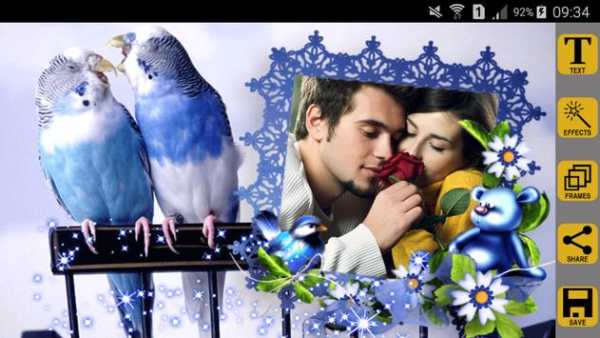 Love Birds Photo Frames screenshot 3