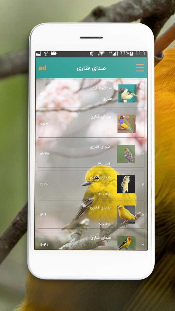 آموزش آواز قناری و سهره screenshot 3