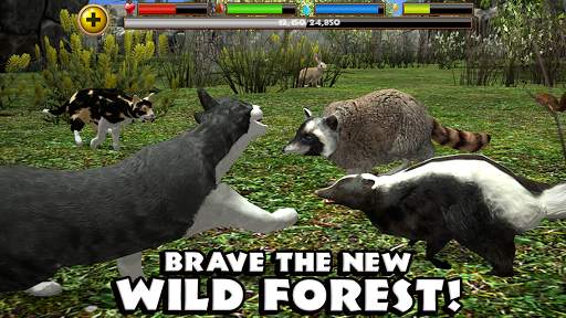 Stray Cat Simulator screenshot 4