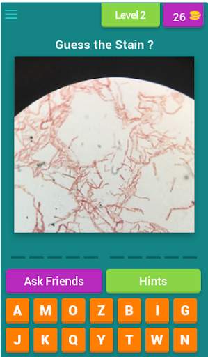 Microbiology quiz; plate reading app. screenshot 2