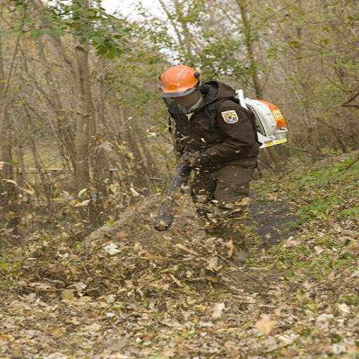 Leaf Blower Sound 1.7