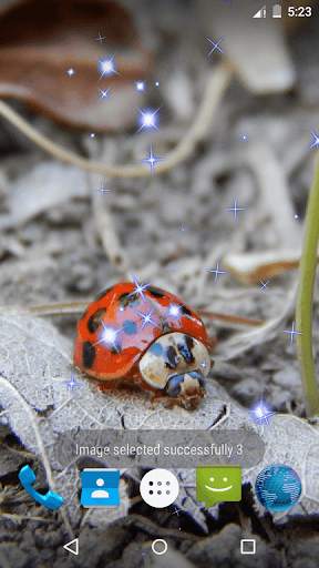 Ladybug Live Wallpaper screenshot 3
