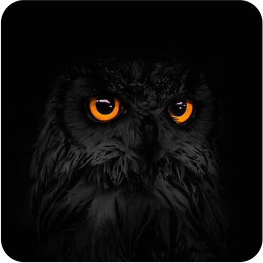 Black Wallpaper icon