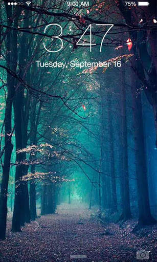 Photography Wallpaper screenshot 3
