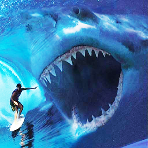 Shark Hunting : Shark Games icon