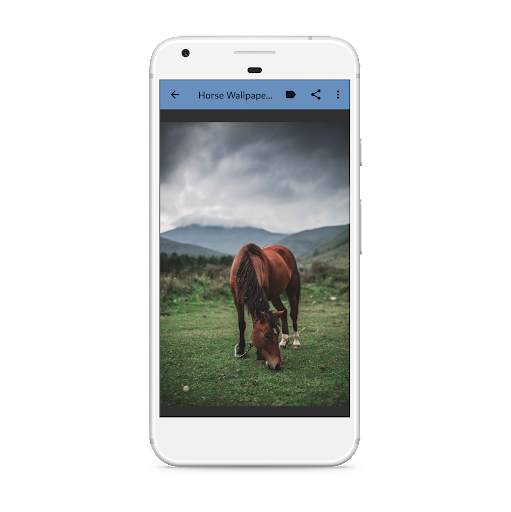 Horse Wallpaper: Beautiful Horse Images 4K screenshot 5