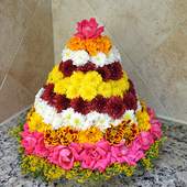 Bathukamma Telugu Songs 1.0