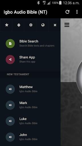 Igbo Audio Bible (NT Audio Drama) screenshot 2