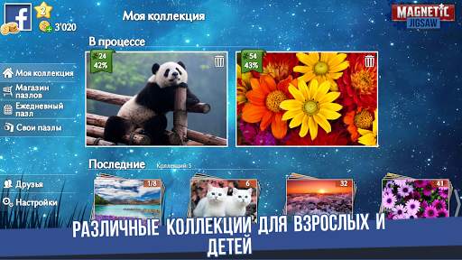 Magnetic Jigsaw скриншот 4