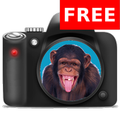 Monkey Camera Free иконка