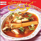 Cooking Recipes in Urdu icon