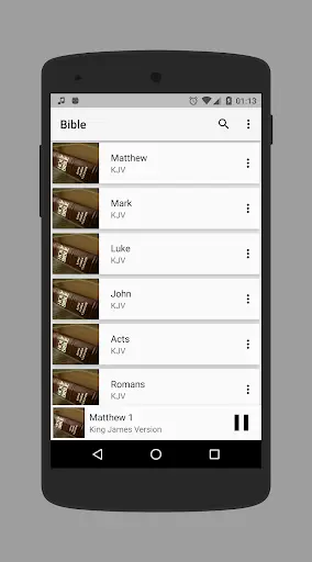 Bible Audio screenshot 2