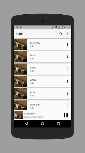 Bible Audio screenshot 2