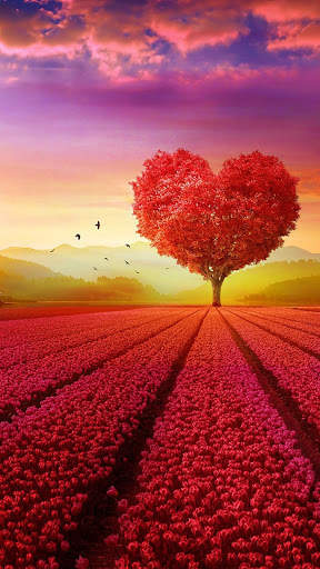 Nature Wallpaper HD screenshot 2