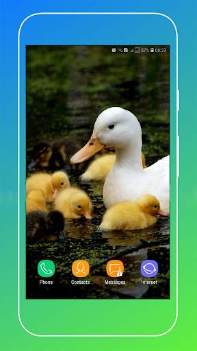 Duck Wallpaper screenshot 6