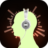 Virtual DJ Pro icon