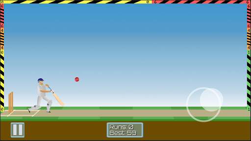 Cricket Mayhem: 2D Cricket screenshot 2