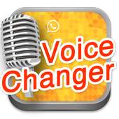 simple voice changer 1.0
