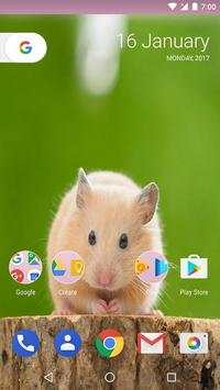 Hamster Life Wallpapers screenshot 4
