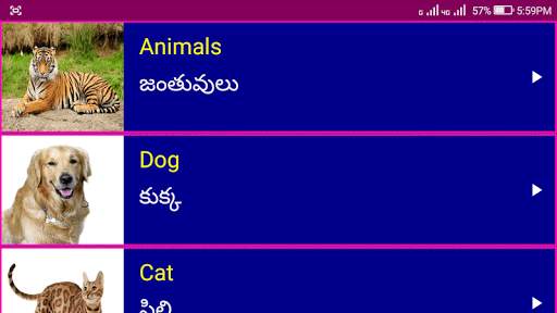 Learn English From Telugu screenshot 16