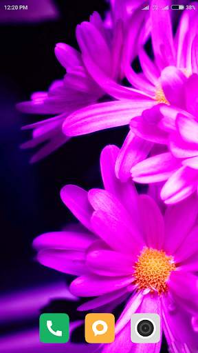 HD Purple Wallpaper screenshot 6