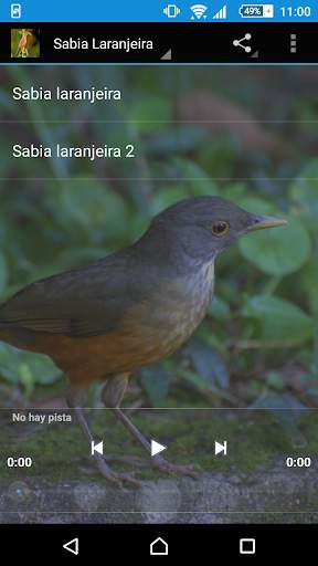 Singing Sabia screenshot 1