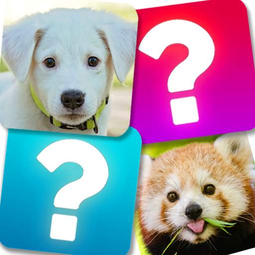 Match Game: Animals 8.0