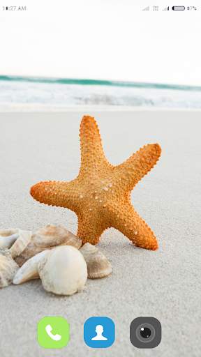 Starfish Wallpaper 4K screenshot 10
