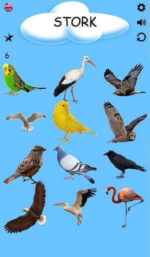 Birds - Learning Birds स्क्रीनशॉट 6