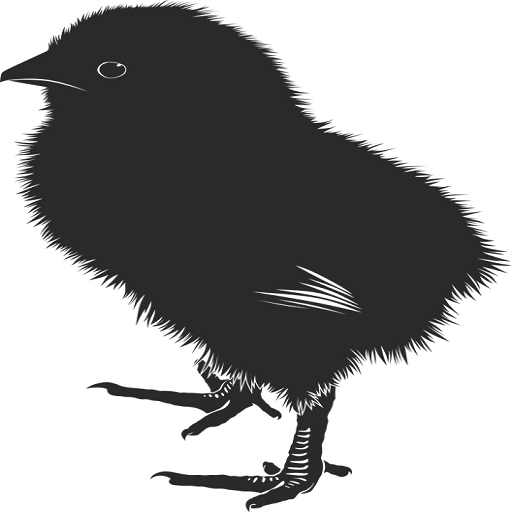 Baby Chick Sound icon