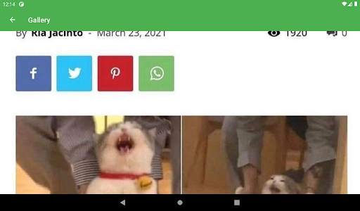 Imgur Browser screenshot 10