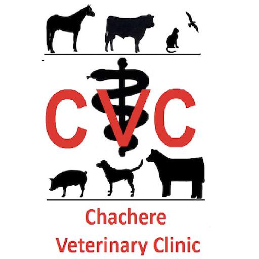 Chachere Vet 300000.2.24