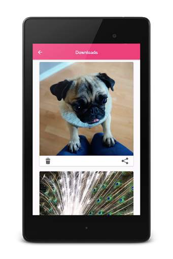 Downloader for Instagram screenshot 9