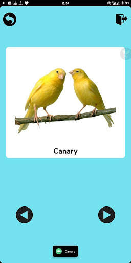 SKNSE Kids Learning App screenshot 5
