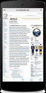 Browser For Android screenshot 4