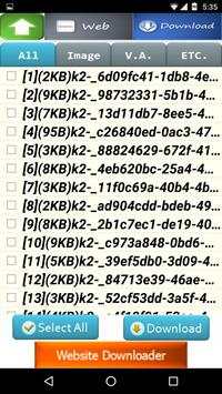 Web Downloader screenshot 2