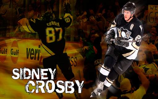 Hockey Wallpapers HD (backgrounds & themes) screenshot 15