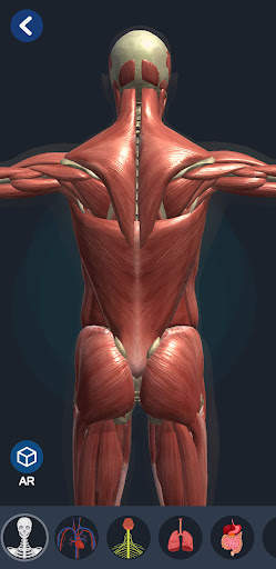 Human Anatomy 3D screenshot 2