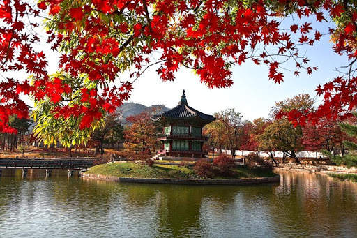China Wallpaper Travel screenshot 17