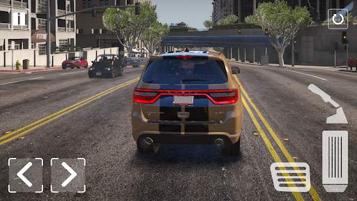 Road Sim Durango Driving screenshot 2