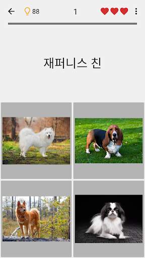 개 품종 퀴즈 : 사진에서 인기 있는 개 종류을 추측 screenshot 4