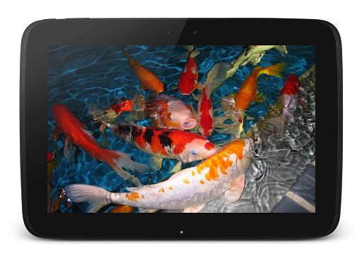 Koi Live Wallpaper screenshot 8