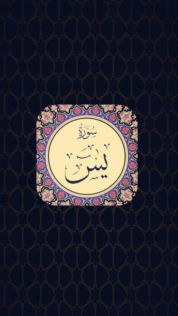 سوره یاسین با صوت و ترجمه screenshot 5