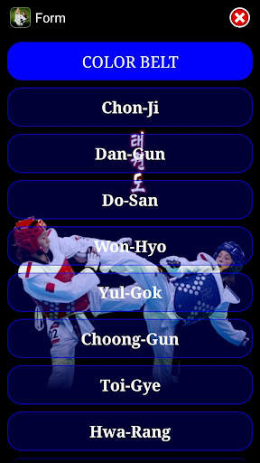 Taekwondo ITF screenshot 5