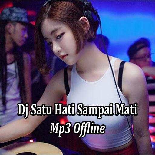 Dj Satu Hati Sampai Mati Offline 2.0