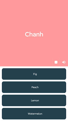 AFM - Awesome Flashcard Maker screenshot 4